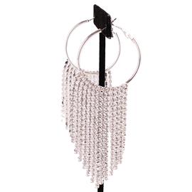 Rhinestone Hoop Fringe Earring