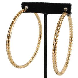 Metal Twisted Hoop Earring