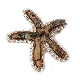 Starfish Brooch