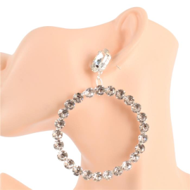 Crystal Chandelier Earring