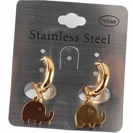 Stainless Steel Earring