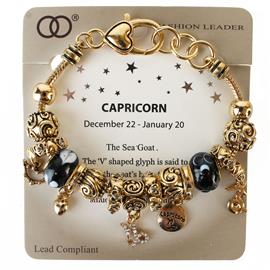 Birth Charm Capricorn Braclet