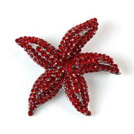 Starfish Brooch