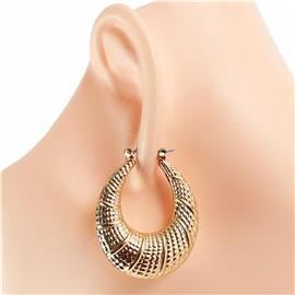 Metal Hoop Earring