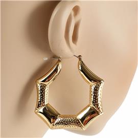 Metal Hoop Earring