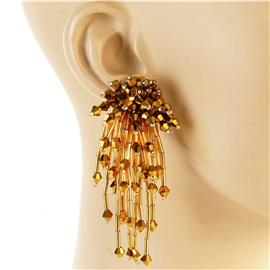 Fashion Beads Earring