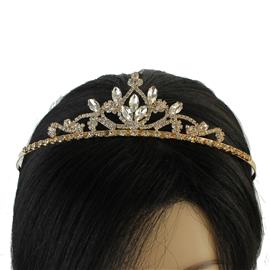 Rhinestones Leaf Tiara