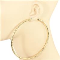 Metal Hoop Earring