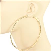 Metal Hoop Earring