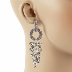 Crystal Dangle Earring