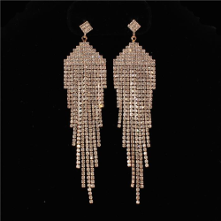 Rhinestones Fringed Earring