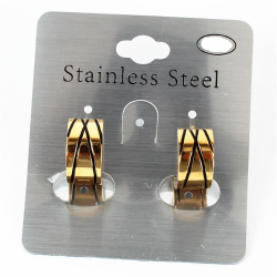 Stainless Steel Earring